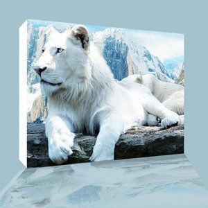 THE WHITE LION CANVAS PRINT WALL ART SIZE 12X14